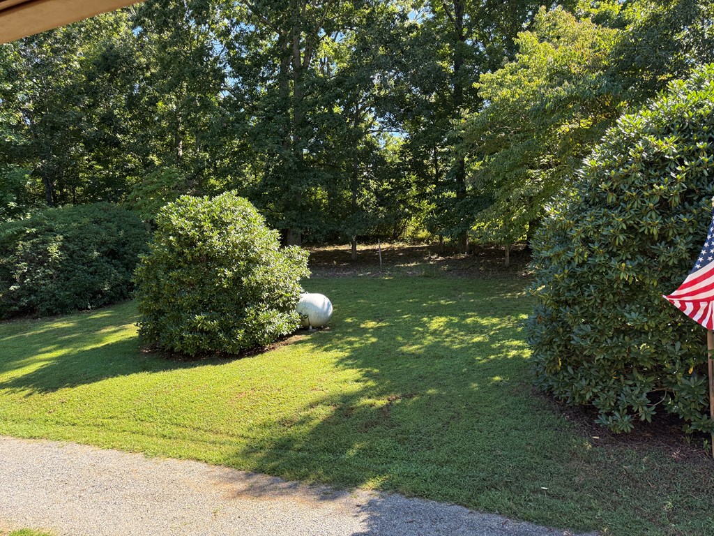 223 Mountain Breezes Drive Property Photo 25