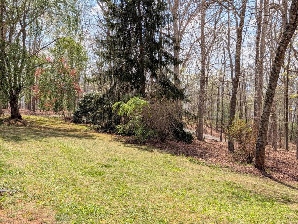 223 Mountain Breezes Drive Property Photo 34