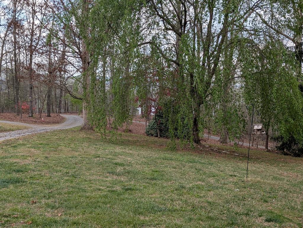 223 Mountain Breezes Drive Property Photo 47