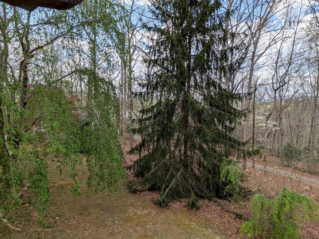 223 Mountain Breezes Drive Property Photo 48
