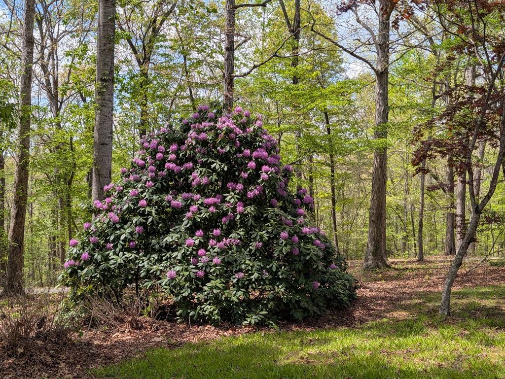223 Mountain Breezes Drive Property Photo 49