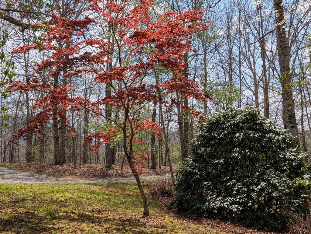 223 Mountain Breezes Drive Property Photo 50