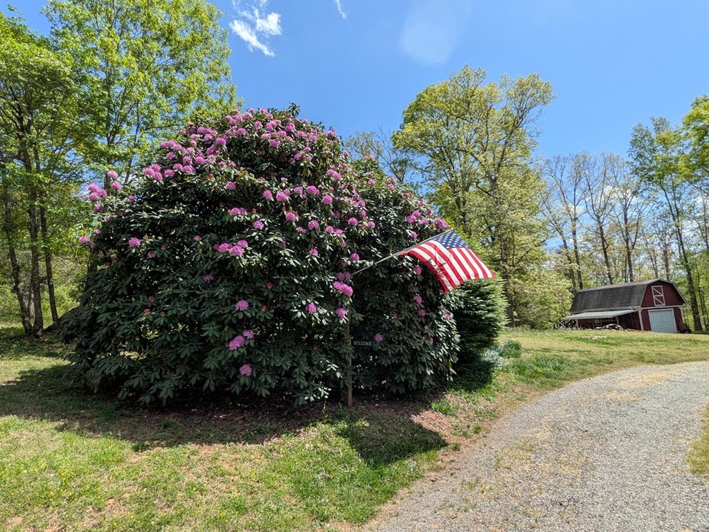 223 Mountain Breezes Drive Property Photo 52
