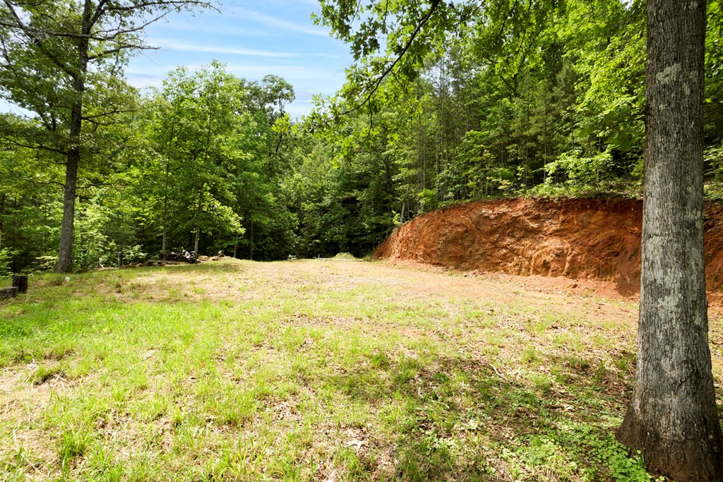 62 Green Cove Spur Property Photo 4