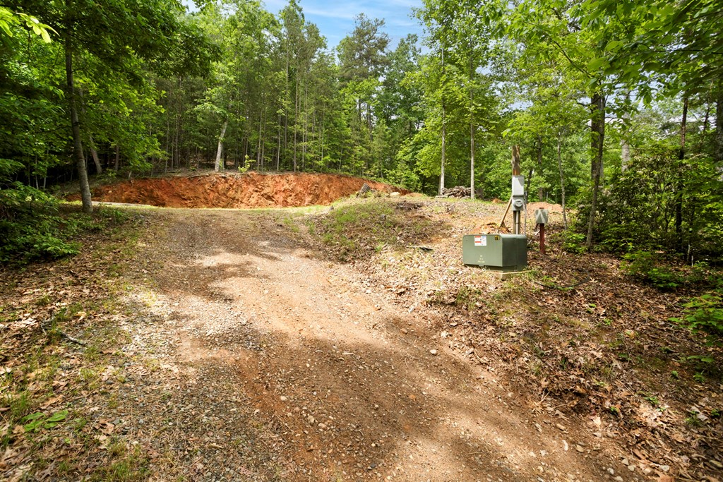 62 Green Cove Spur Property Photo 6