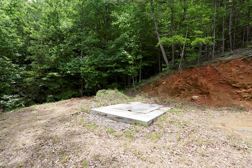 62 Green Cove Spur Property Photo 8