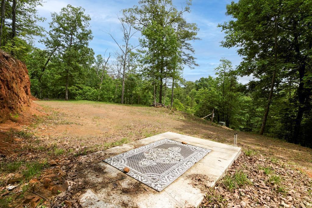 62 Green Cove Spur Property Photo 13