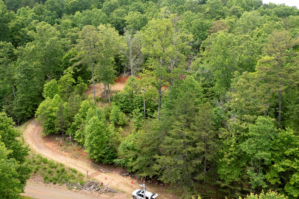 62 Green Cove Spur Property Photo 14