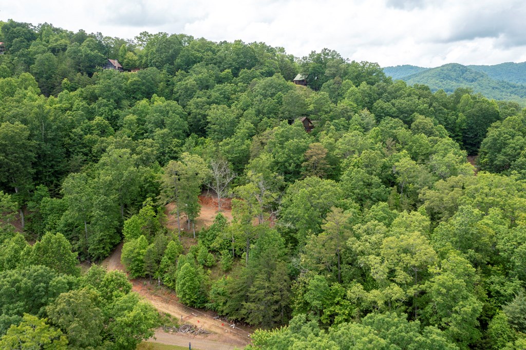 62 Green Cove Spur Property Photo 16