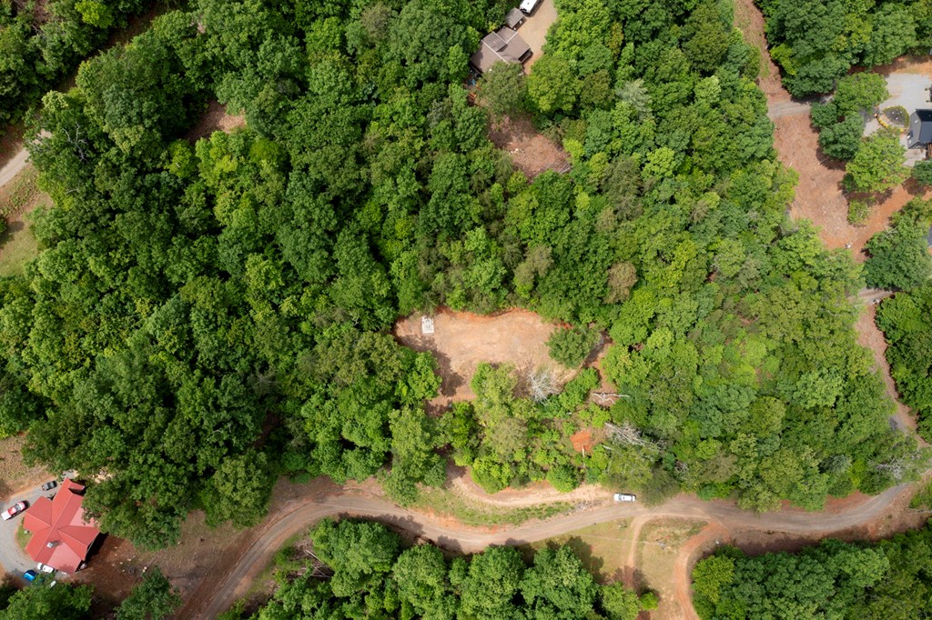 62 Green Cove Spur Property Photo 17