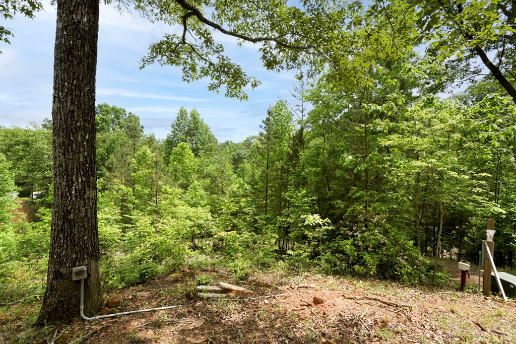 62 Green Cove Spur Property Photo 19