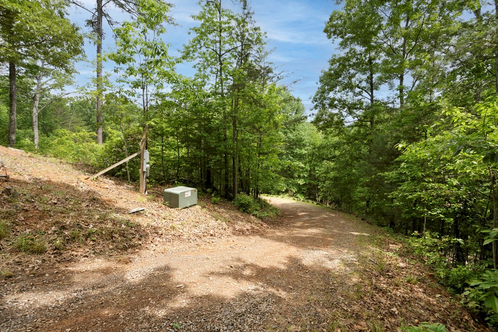 62 Green Cove Spur Property Photo 22