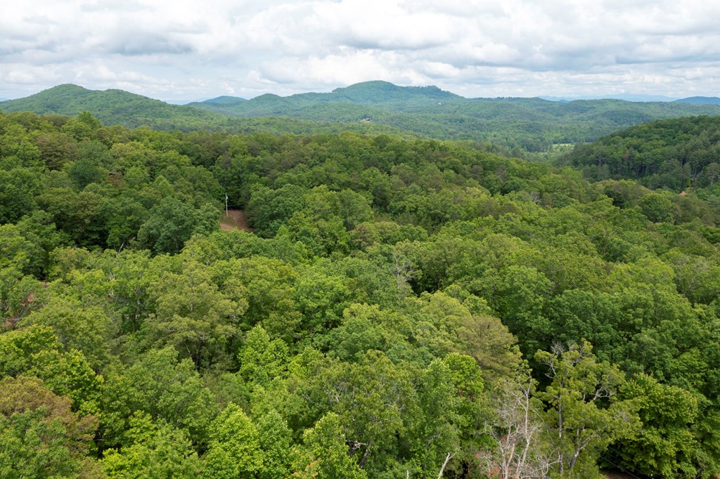 62 Green Cove Spur Property Photo 28