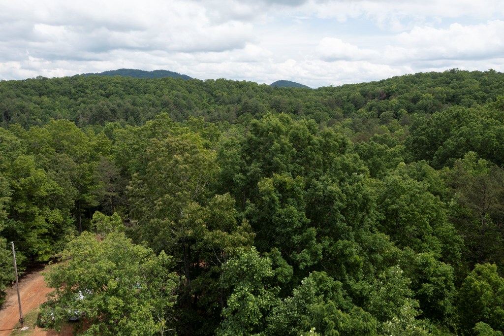 62 Green Cove Spur Property Photo 33