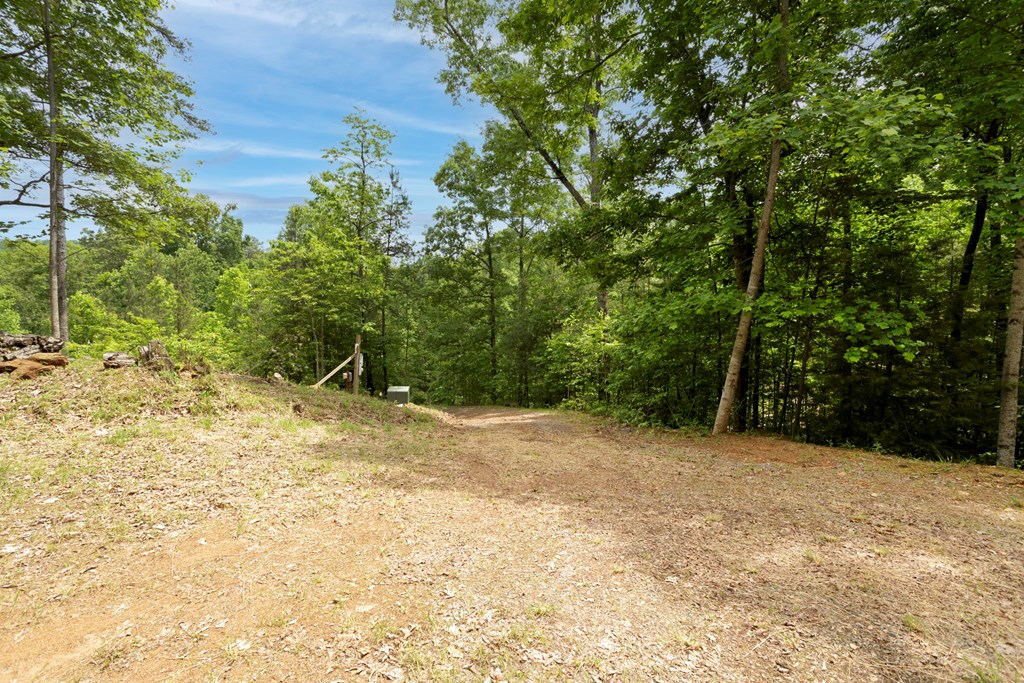 62 Green Cove Spur Property Photo 37