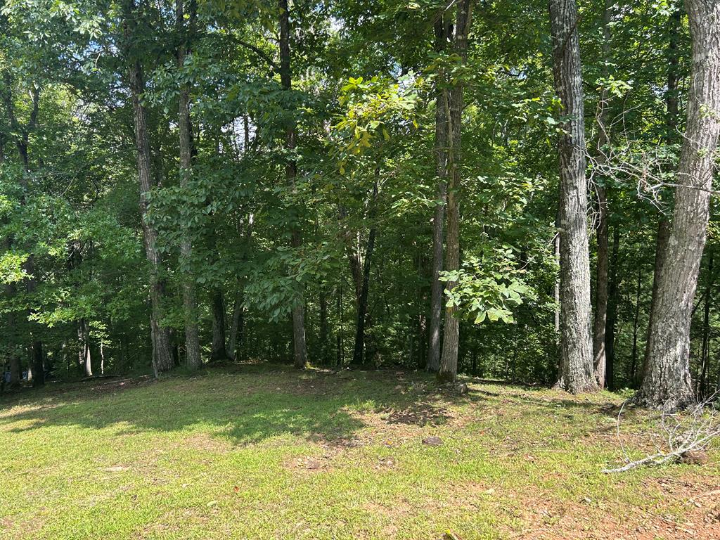 Lt 19 Bitter Creek Road Property Photo 1