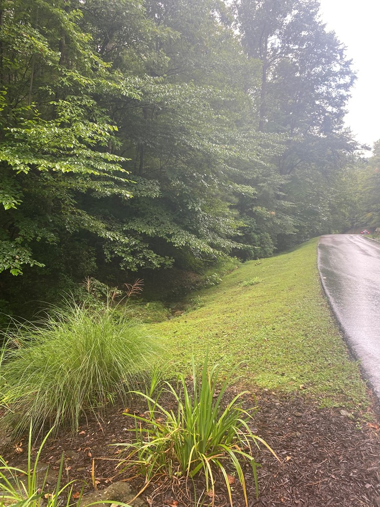 27 Mountain Creek Hollow Drive Property Photo 3