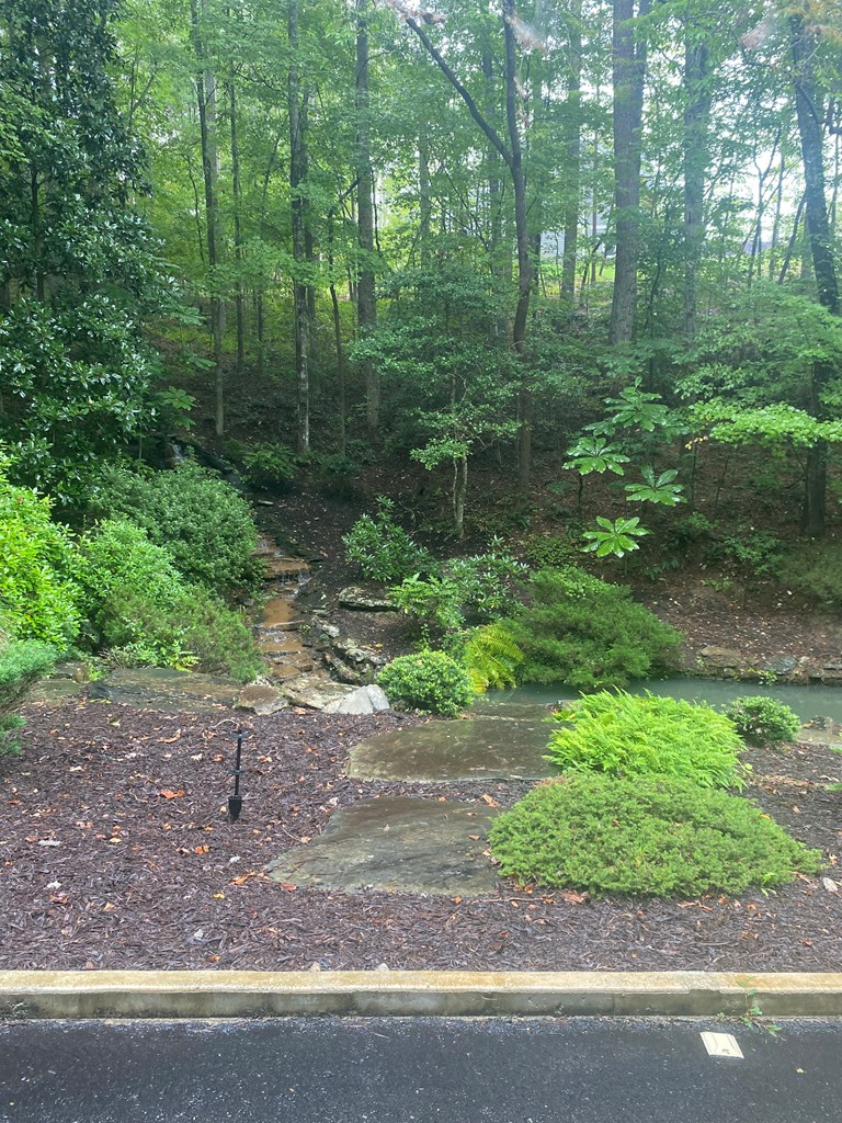 27 Mountain Creek Hollow Drive Property Photo 4