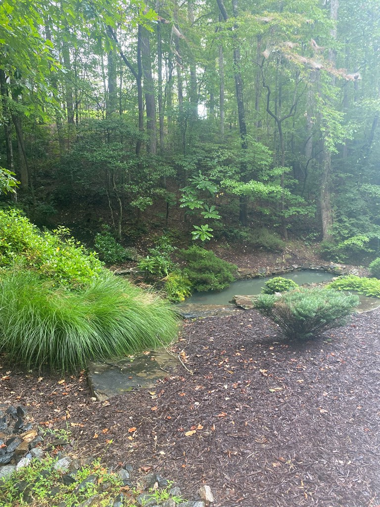 27 Mountain Creek Hollow Drive Property Photo 6