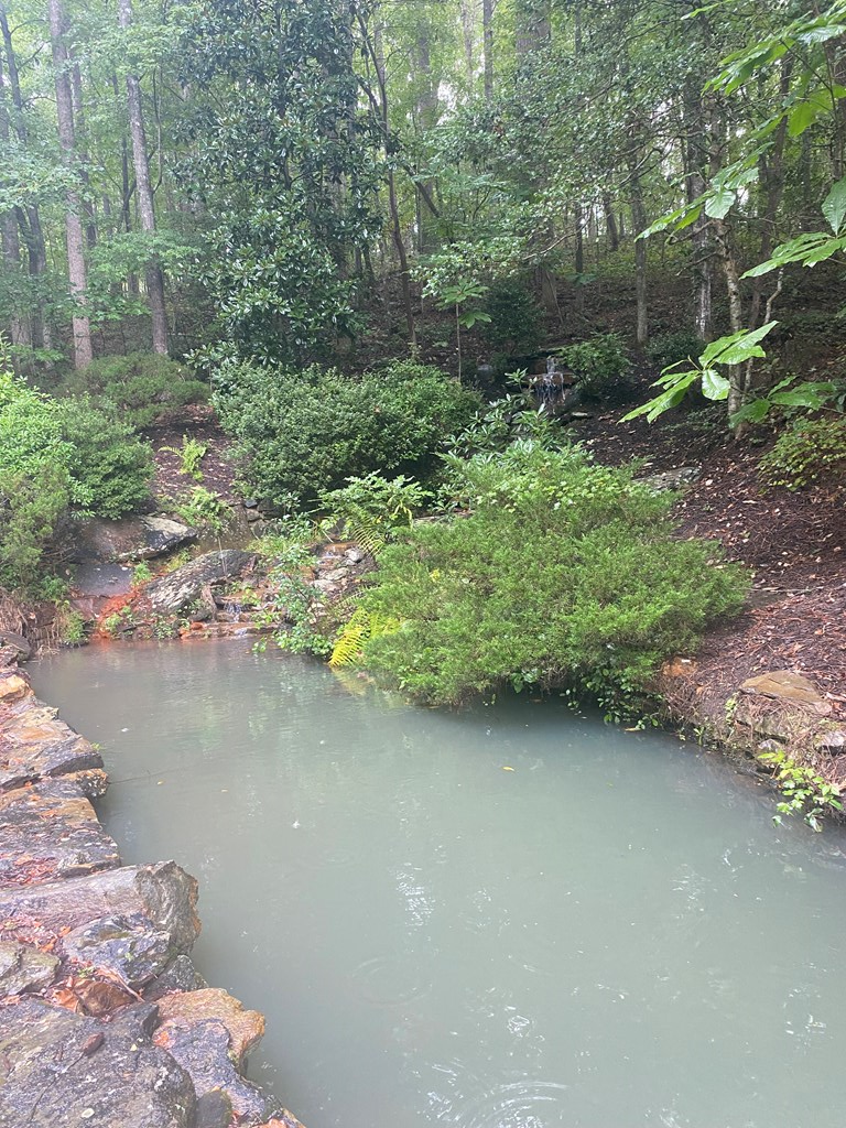 27 Mountain Creek Hollow Drive Property Photo 8