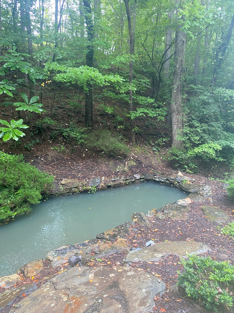 27 Mountain Creek Hollow Drive Property Photo 9