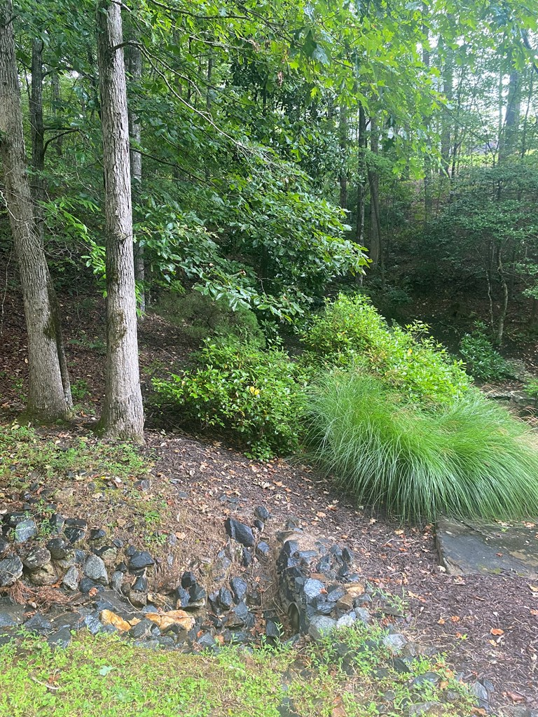 27 Mountain Creek Hollow Drive Property Photo 10