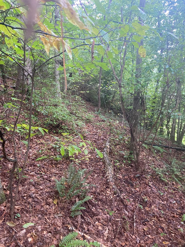 27 Mountain Creek Hollow Drive Property Photo 11