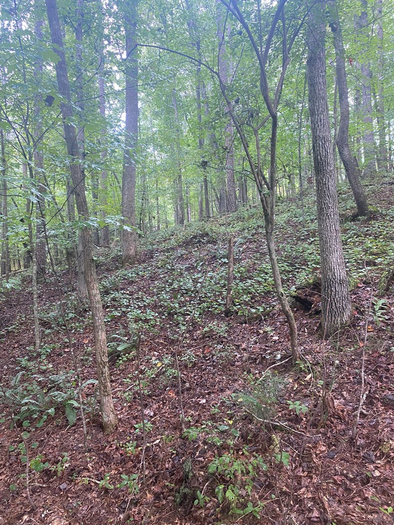 27 Mountain Creek Hollow Drive Property Photo 12