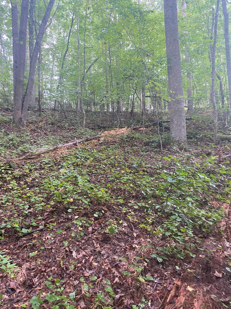 27 Mountain Creek Hollow Drive Property Photo 13