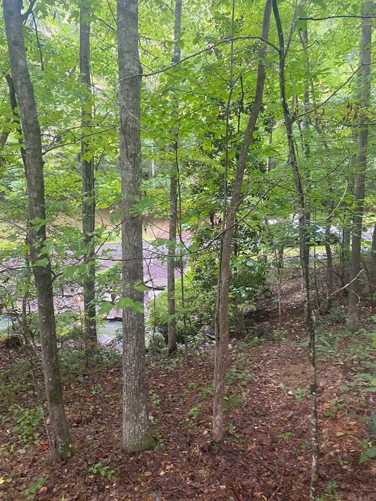 27 Mountain Creek Hollow Drive Property Photo 14