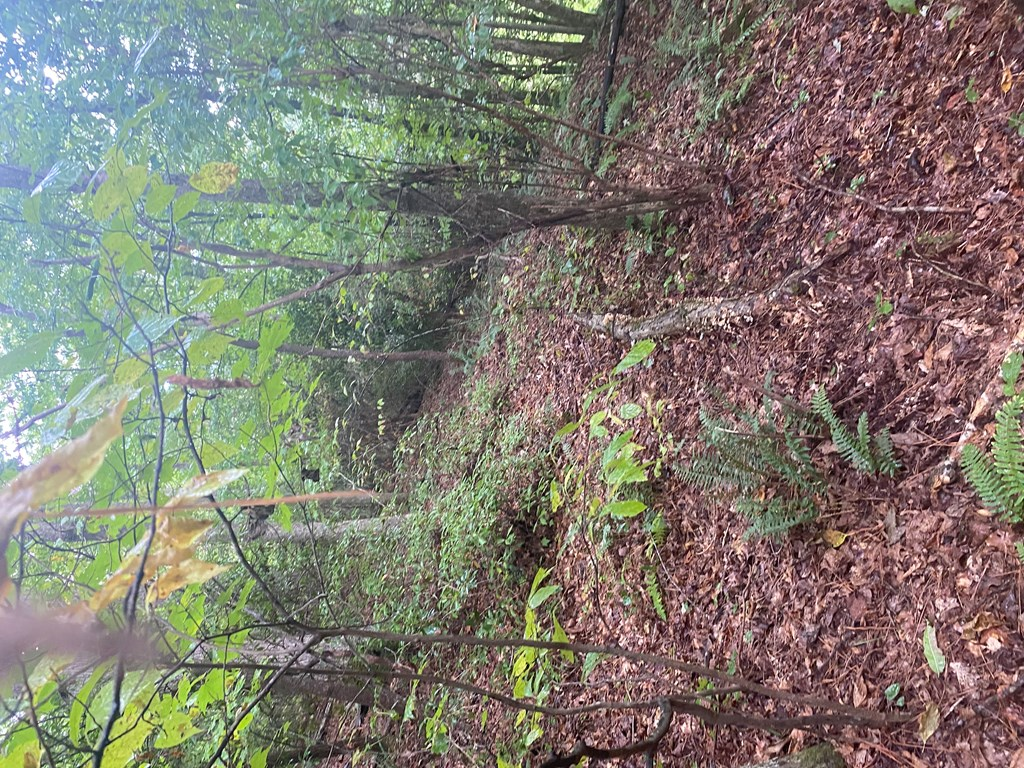 27 Mountain Creek Hollow Drive Property Photo 15