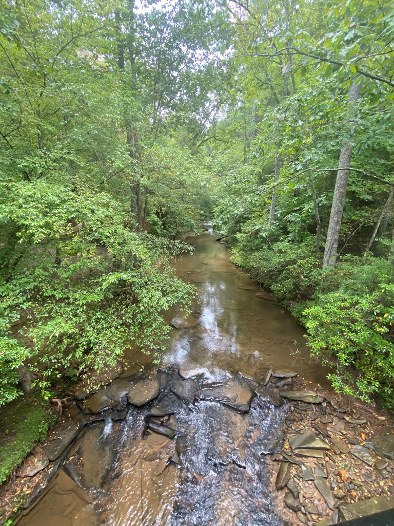 27 Mountain Creek Hollow Drive Property Photo 20
