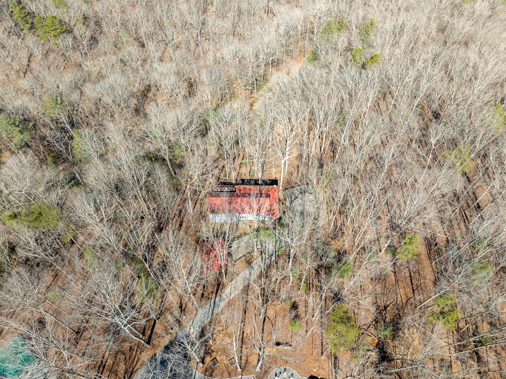 193 Alm Lane Property Photo 28