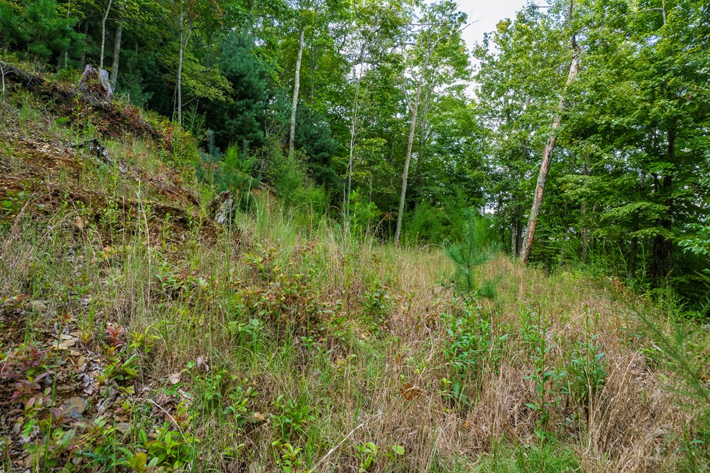 0 Dusty Danno Trail Property Photo 15