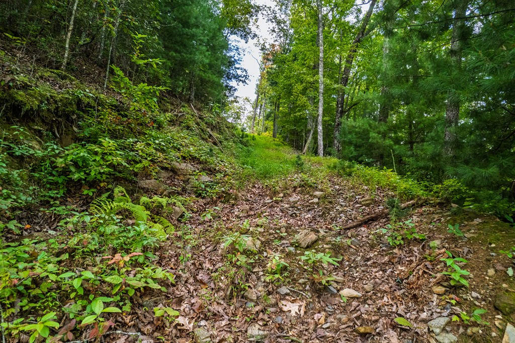 0 Dusty Danno Trail Property Photo 18