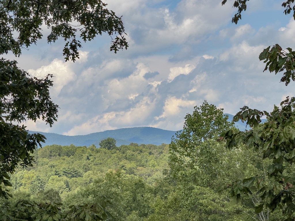 77 Souther Mill Overlook Property Photo 5