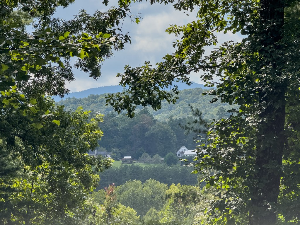 77 Souther Mill Overlook Property Photo 6