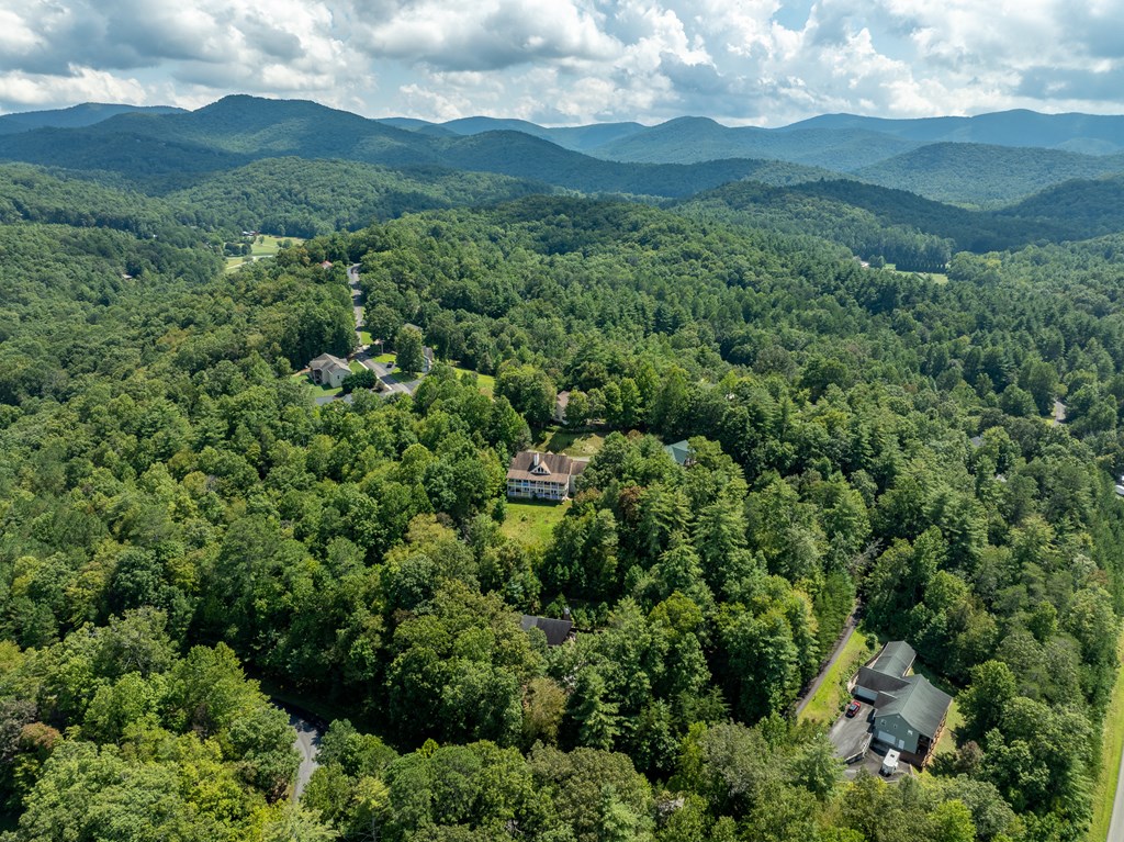 77 Souther Mill Overlook Property Photo 18
