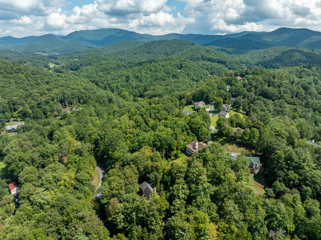 77 Souther Mill Overlook Property Photo 19