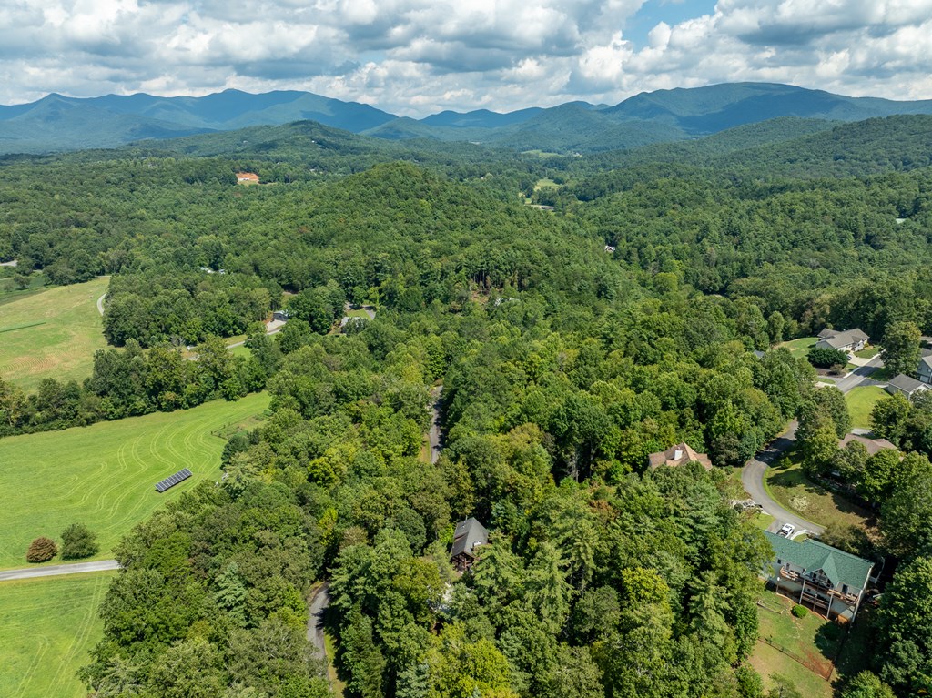 77 Souther Mill Overlook Property Photo 20