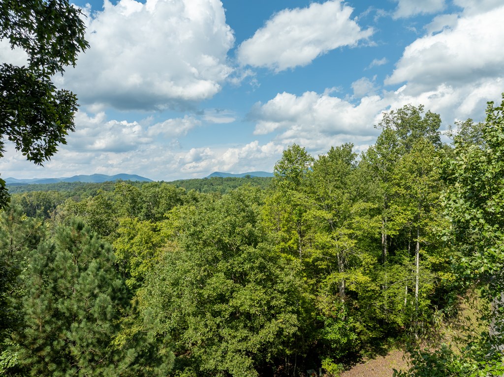 77 Souther Mill Overlook Property Photo 26
