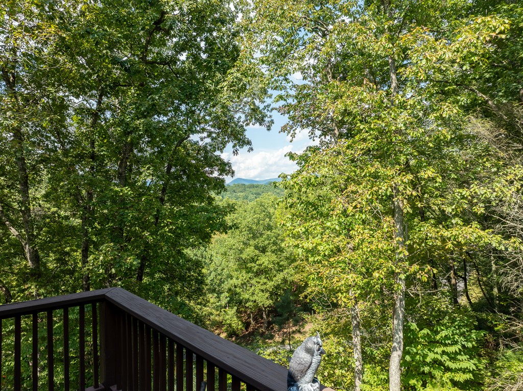 77 Souther Mill Overlook Property Photo 51