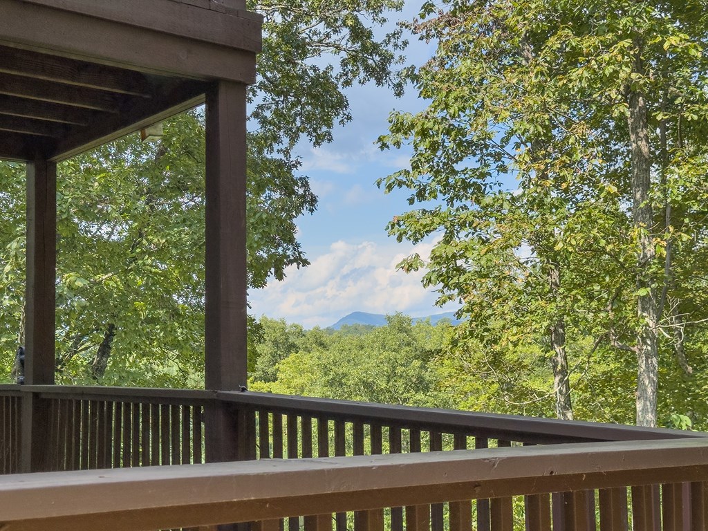 77 Souther Mill Overlook Property Photo 73