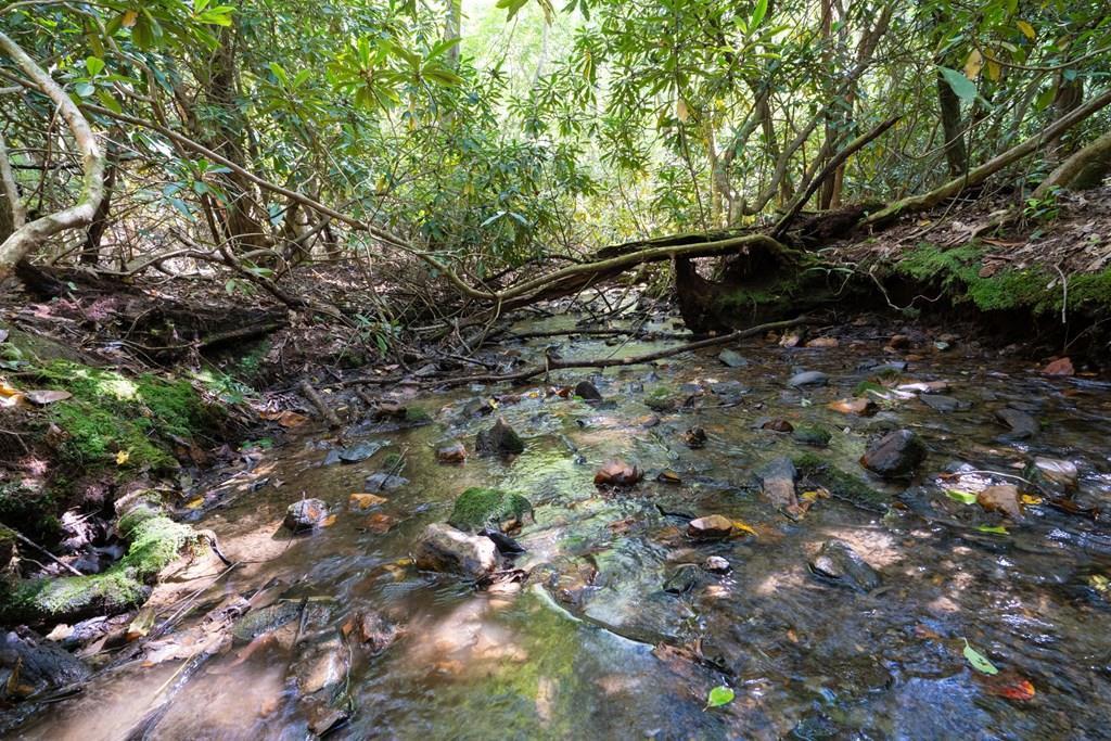 26.98 Ac Tusquittee Property Photo 1