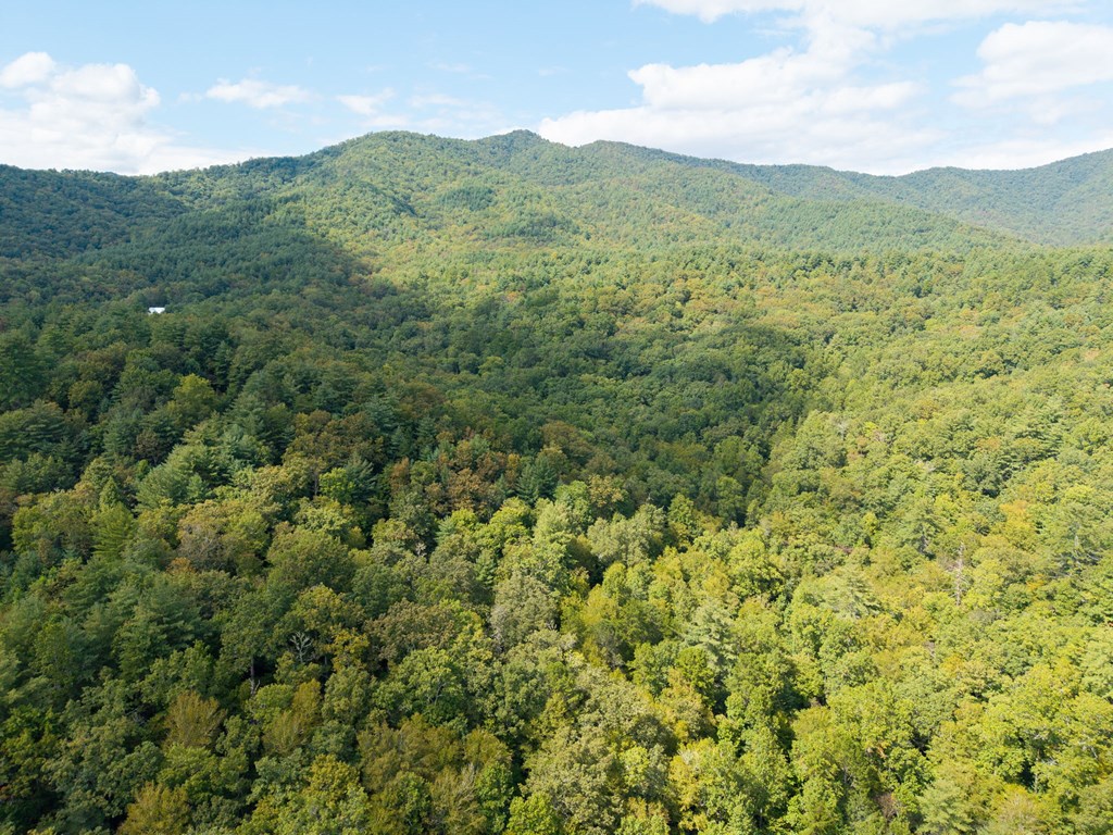 26.98 Ac Tusquittee Property Photo 3