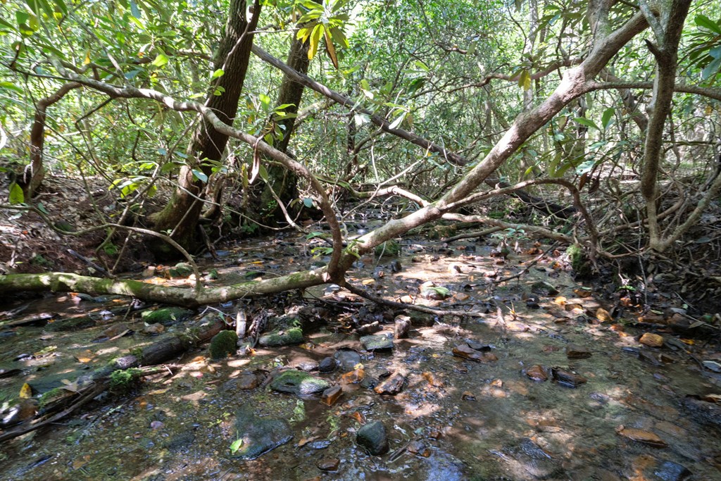 26.98 Ac Tusquittee Property Photo 6