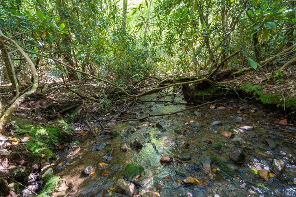 26.98 Ac Tusquittee Property Photo 11