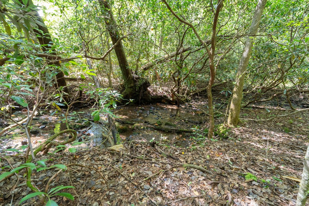 26.98 Ac Tusquittee Property Photo 14
