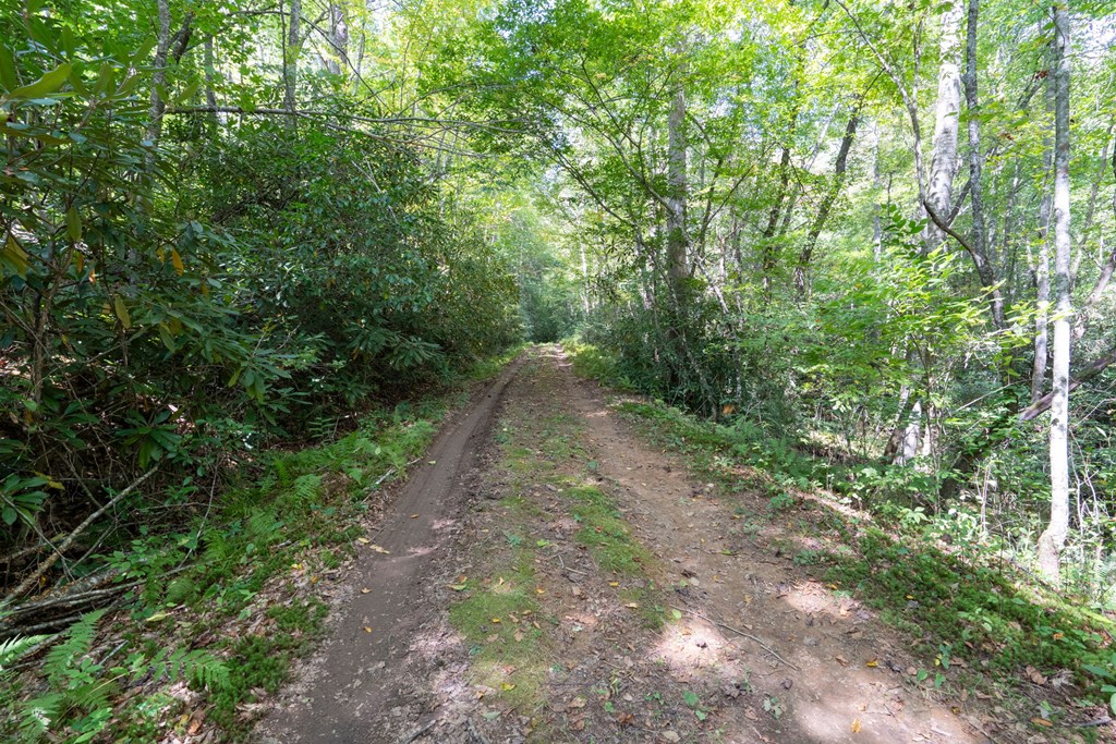 26.98 Ac Tusquittee Property Photo 15