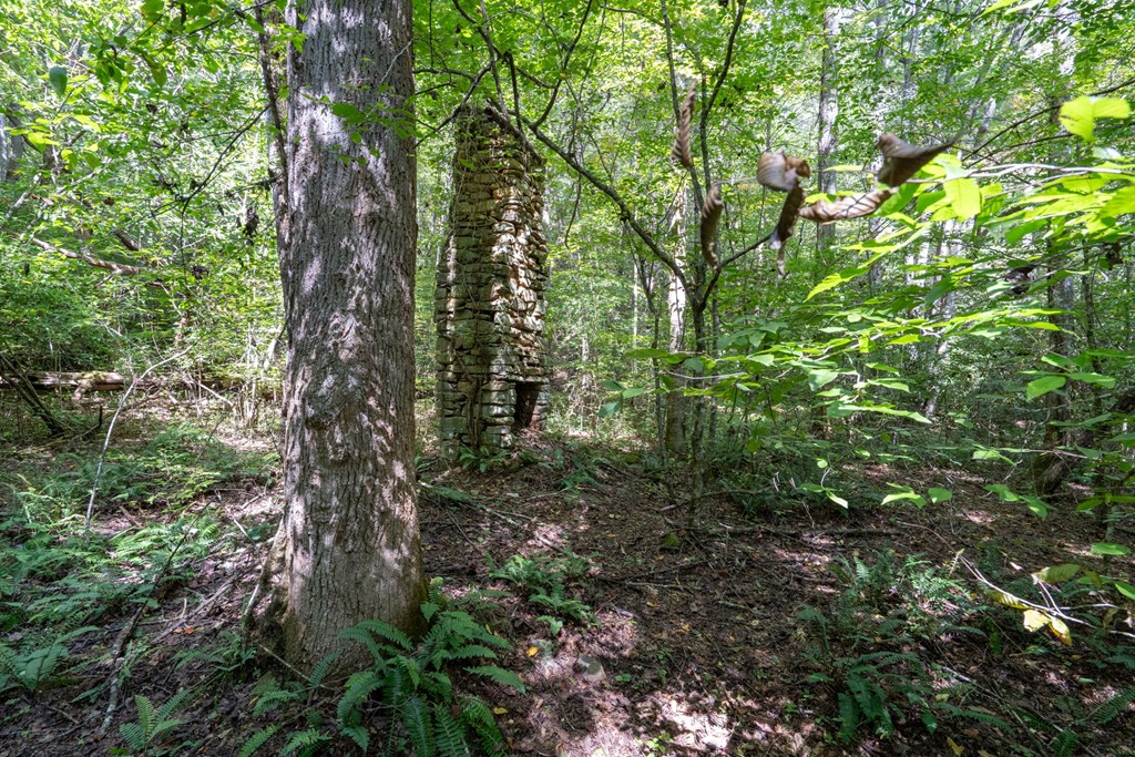 26.98 Ac Tusquittee Property Photo 16